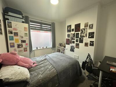 Picture 5